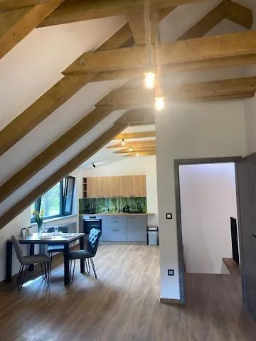 Cesky Les Apartment Lesna (Tachov)